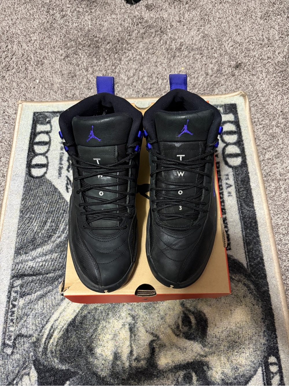 Air Jordan 12 dark concord